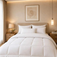 Couette de luxe en microfibre, alternative au duvet d'oie, pour hôtels 5 étoiles, avec insert en microfibre monobloc, OEM