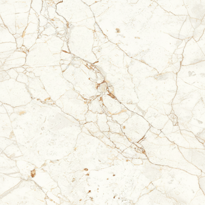 600x1200mm Carreau de céramique aspect porcelaine Dalle de sol pour l'intérieur Marbre poli émaillé Design graphique CLASSIC Modern Glossy - Product Image 1