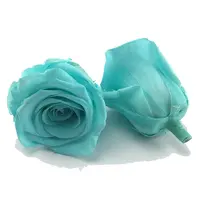 Roses éternelles romantiques, 4-5 cm, 39 couleurs, plantes naturelles, pour l'éternité, pour le bricolage ou pour une boîte de fleurs