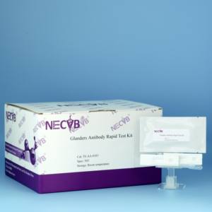 Gland ers Antikörper Schnelltestst reifen | Burk holderia mallei Detection | 50 Tests/Kit - Product Image 1