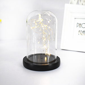 Wholesale Fashion Glass Crafts Flower Home Decoration Luxury Glass Dome High Brightness Glass Domes with LED Light