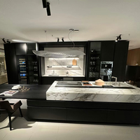 Vente en gros d'armoires de cuisine modernes de luxe personnalisées en acier inoxydable Solution de rangement design à guichet unique de haute qualité