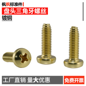 Pan Head <b>Copper</b> Plated <b>Screws</b> M5 16mm Metric Standard Thread National Standard - Product Image 5