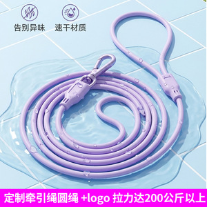 Laisse pour chien en PVC violet, corde ronde, non irritante, anti-explosion, accessoire de promenade pour animaux de compagnie - Product Image 3