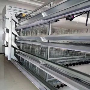 Automatic Industrial Cheap Layer Large Atype Chicken Coop House Broiler Cage for Laying Hens for Turkey