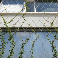 Green Wall Woven Rope Mesh Garten pflanze Spalier netz Ferrule Cable Net Climber Plant Spalier Edelstahl Drahtseil netz