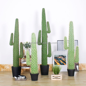 Commercio all'ingrosso <span class=keywords><strong>di</strong></span> alta simulazione <span class=keywords><strong>Cactus</strong></span> pianta verde <span class=keywords><strong>in</strong></span> <span class=keywords><strong>vaso</strong></span> pianta succulenta artificiale fico d'India falso <span class=keywords><strong>Cactus</strong></span> pianta per la decorazione della casa - Product Image 4