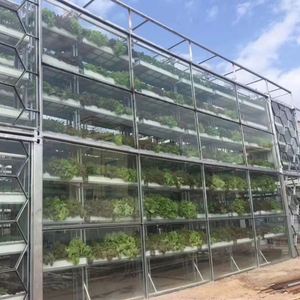 Casa vegetal verde personalizable, maceta hidropónica y aeropónica automática para cultivo de verduras - Product Image 3