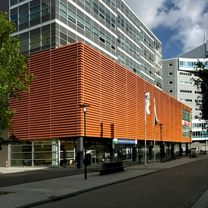 Façade à lames en aluminium imitation bois pour mur-rideau, revêtement extérieur, panneau mural pour bâtiment moderne - Product Image 2