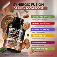 Capsules de Complexe de Champignons Crinière de Lion, Queue de Dinde, Chaga, Cordyceps, Reishi pour le Soutien Cérébral, Cognitif et la Mémoire chez l'Adulte