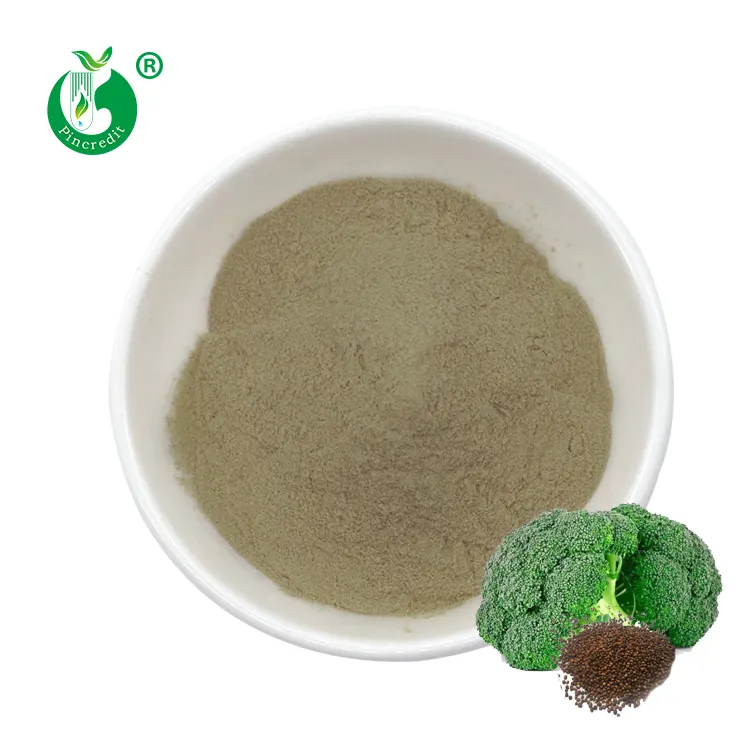 Pincredit fornisce estratto di semi di Broccoli biologici puri CAS 21414-41-5 polvere di glucoraphanina