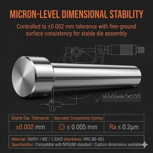 Punzón de Bloqueo de Bolas ISO 10071 de Alta Resistencia con Punzón Métrico SKH51 <span class=keywords><strong>M2</strong></span> 1.3343 para Troqueles de Estampado Automotriz de Precisión - Product Image 3