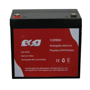 Esg Oplaadbare 12.8V 50ah/100ah/150ah/200ah/300ah Lithium-Ijzerfosfaatbatterijen