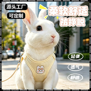 Laisse pour lapin, spécialement conçue pour promener les animaux de compagnie, notamment les petits lapins nains, corde anti-évasion, porte-lapin, extérieur - Product Image 5