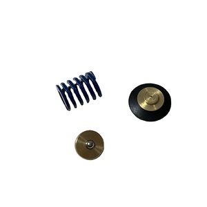 Kit de Servicio para Compresores Industriales Manny 250019-453 con Válvula Reguladora - Product Image 4