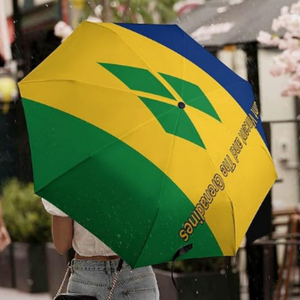 Parapluie de <span class=keywords><strong>voyage</strong></span> personnalisé à bas <span class=keywords><strong>prix</strong></span>, design drapeau des Îles Vierges américaines, coupe-vent, pliable automatiquement, petit, portable, pour sac à dos et voiture - Product Image 5