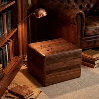 Cercueils pour animaux de compagnie en bois massif, luxe moderne, biodégradables, et rangement pour cendres de chat/chien, fournitures funéraires commémoratives