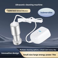 Machine de nettoyage à ultrasons pour usage domestique CE-9600 220V pour laver les légumes, les fruits, les biberons, les appareils dentaires, les bijoux, les montres, les prothèses dentaires
