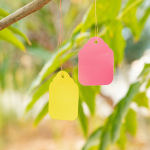 Marqueurs de variétés de semis de plantes de jardinage en gros transfrontalier, étiquettes de plantes, marqueurs d'arbres fruitiers, marqueurs de fleurs, étiquettes en plastique imperméables - Product Image 2