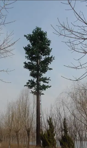 หอคอยต้นไม้ไบโอนิคปรับแต่งได้-ความเสถียรสูงการบำรุงรักษาต่ำ30ปีโครงสร้างเหล็กสำหรับอนุรักษ์ระบบนิเวศ - Product Image 5