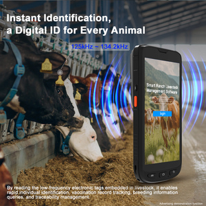 Android 10 5.5インチ携帯型RFIDリーダーおよびライター端末LF134.2KHz FDX-B/HDX PDA付き動物管理 - Product Image 2