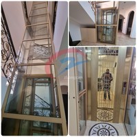 Ascensore Domestico Economico e Sicuro per 2 Persone, 3m 6m, Elevatore Idraulico per Interni ed Esterni, Ascensori Residenziali per Ville