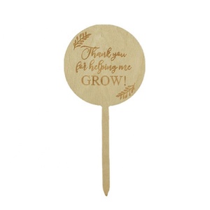 Etichette in Legno <span class=keywords><strong>per</strong></span> Piante Grasse, Targhette Vuote a T, Rotonde ed Esagonali, Segnaposto <span class=keywords><strong>per</strong></span> Piante in Vaso <span class=keywords><strong>da</strong></span> <span class=keywords><strong>Giardino</strong></span>, <span class=keywords><strong>per</strong></span> Ortaggi, <span class=keywords><strong>Fiori</strong></span> e <span class=keywords><strong>Semi</strong></span> - Product Image 3