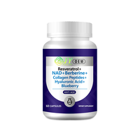Capsules NAD+ 60 unités – Complément NAD pour le soutien énergétique cellulaire – OEM ODM Marque privée Vente en gros Usine en vrac