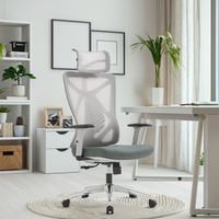 Chaise de direction ergonomique moderne, cadre gris, support lombaire réglable à 3 positions, dossier en maille respirante, mobilier de bureau, rabattable