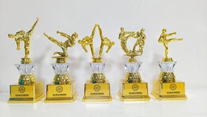 Recuerdo Deportivo, Trofeo de Plástico de la Liga de Campeones, Precio al por Mayor, Trofeos de Plástico Brillantes y Atractivos para <span class=keywords><strong>Ganadores</strong></span> - Product Image 2