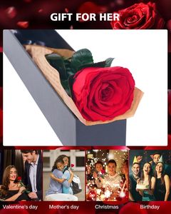 Rose préservée écologique faite à la main cadeaux de la Saint-Valentin rose rouge unique pour toujours pour les femmes maman grand-mère-cadeau de livraison Prime - Product Image 2