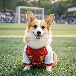 Susugoo定制奢华宠物服装快干狗猫夏季球衣足球篮球套装加大码透气 - Product Image 4