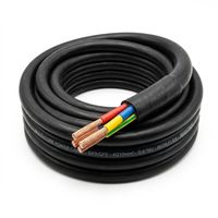 Cable de PVC Certificado H05RR-F 2*0.75mm 24/0.20AS OD6.4 100m Multifilar Flexible para Calefacción Eléctrica