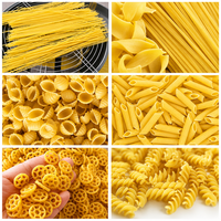 Homogénéisateur sous vide pour amidon de blé, de pomme de terre et de maïs, ligne de production de formes de rotini réfrigérées, outillage de façonnage