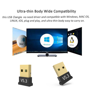 <span class=keywords><strong>Mini</strong></span> USB portátil V5.3 para accesorio de audio y video Blue Tooth Dongle en stock - Product Image 5