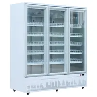 Équipement de réfrigération à affichage vertical de haute qualité, boisson de congélation avec portes multiples et porte coulissante en verre