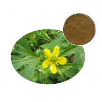 Nouvellement fournir avec une bonne qualité extrait de plante poudre d'extrait d'Uncaria Gambier extrait