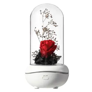 Valentijnsdag Cadeau Aromatherapie Nachtlampje Eeuwige Bloemen Slaapkamer Oplaadbare Modellen Transparante Rose Ambient Machine