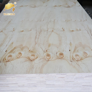 Contreplaqué peuplier CDX 4x8 de qualité construction, E0 sans formaldéhyde, design moderne pour cuisine extérieure et atelier, prix de gros - Product Image 2