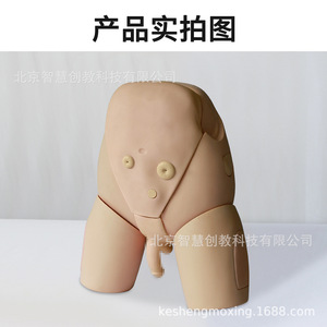 Modèles médicaux pour la formation au cathétérisme masculin et féminin ; modèles de formation hospitalière ; modèles avancés d'entraînement holistique au cathétérisme féminin - Product Image 5