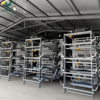 Meilleur Prix – Cages à Poules Pondeuses Entièrement Automatiques Type H – Équipement Avicole pour Ferme – Système de Cages en Batterie pour Poulets à Vendre