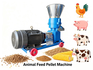 Machine à <span class=keywords><strong>granulés</strong></span> plate portable avec moteur électrique parfaite <span class=keywords><strong>pour</strong></span> la production <span class=keywords><strong>de</strong></span> <span class=keywords><strong>granulés</strong></span> <span class=keywords><strong>de</strong></span> ferme et <span class=keywords><strong>de</strong></span> ferme <span class=keywords><strong>de</strong></span> petit atelier - Product Image 3