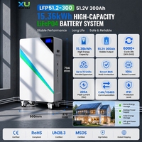 Batterie lithium LiFePO4 murale 51,2 V avec système d'énergie solaire hybride pour panneaux solaires connectés au réseau