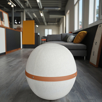Ballon d'exercice 65CM pour Yoga Pilates & Gym Housse lavable avec tissu amovible pour usage domestique