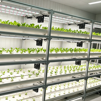 Ferme en conteneur maritime 40HQ entièrement automatisée, système d'agriculture verticale clé en main pour la production commerciale de légumes