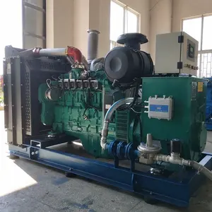 Groupe électrogène de biogaz de gaz naturel de 125kva 100KW 6CTA8.3