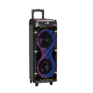 100W Hoge Kwaliteit Outdoor Dubbele 10Inch Grote Trolley Speaker Met Draadloze Microfoon