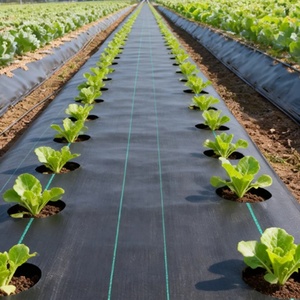 Toile de paillage premium noire pour jardin, tapis <span class=keywords><strong>anti</strong></span>-mauvaises herbes, couverture de <span class=keywords><strong>sol</strong></span> - Product Image 4