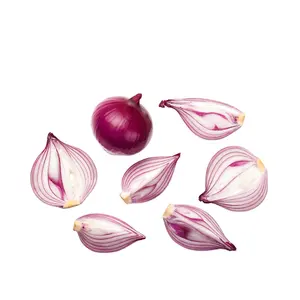 Wholesale Fresh Onion For Sale / Fresh Onion Export To Dubai / Export Fresh Onion