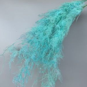 Yunnan Vente en gros Asperges conservées Fleurs de fougère pour la fête de mariage et décor de <span class=keywords><strong>maison</strong></span> Saint Valentin et Pâques Faveurs de mariage - Product Image 3